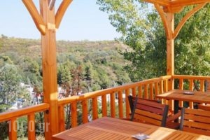 Hotel Aphroditi_best prices_in_Hotel_Macedonia_Halkidiki_Pefkochori