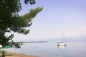 Violetta_holidays_in_Hotel_Central Greece_Fthiotida_Kamena Vourla