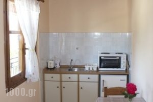 Chrysanthy Apartments_accommodation_in_Room_Ionian Islands_Corfu_Sidari