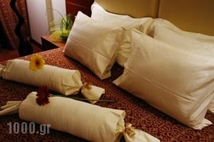 Siris Hotel_lowest prices_in_Hotel_Macedonia_Serres_Serres City