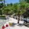 Stavris Studios_best deals_Hotel_Dodekanessos Islands_Rhodes_Faliraki