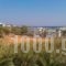 Oassis Studios_best deals_Apartment_Cyclades Islands_Paros_Piso Livadi