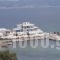 Katerina_lowest prices_in_Hotel_Cyclades Islands_Paros_Piso Livadi