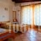 Camelia Studios_holidays_in_Apartment_Sporades Islands_Skiathos_Skiathos Chora