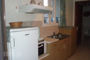 Echo_lowest prices_in_Apartment_Cyclades Islands_Syros_Azolimnos