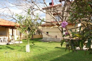 Villa La Luna_best deals_Villa_Macedonia_Pieria_Litochoro