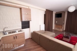 Idriades_accommodation_in_Hotel_Central Greece_Fokida_Eptalofos