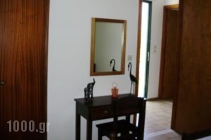 Thanasis' apartments_lowest prices_in_Room_Ionian Islands_Kefalonia_Kefalonia'st Areas