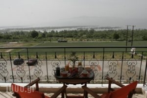 Villa Belles_lowest prices_in_Villa___