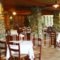 Hotel Pavlou_best deals_Hotel_Piraeus islands - Trizonia_Trizonia_Trizonia Rest Areas