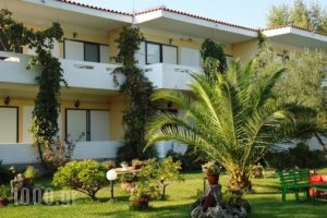 Studios Lainis_accommodation_in_Hotel_Macedonia_Halkidiki_Sykia