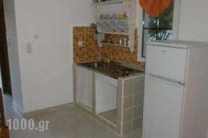 Studios Eliza_lowest prices_in_Hotel_Cyclades Islands_Serifos_Livadi