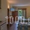 Asteras_best deals_Hotel_Macedonia_Halkidiki_Sarti