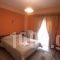 Xenonas Drimos_holidays_in_Apartment_Central Greece_Evritania_Karpenisi