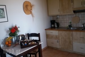 Kripia_lowest prices_in_Room_Peloponesse_Messinia_Kardamyli