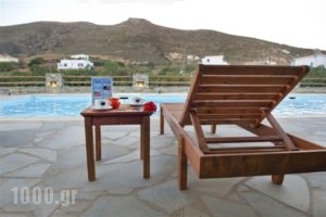 Villa Sofia_lowest prices_in_Villa_Cyclades Islands_Andros_Agios Petros