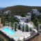 Villa Sofia_accommodation_in_Villa_Cyclades Islands_Andros_Agios Petros