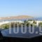 Medusa Apartments_best deals_Apartment_Cyclades Islands_Serifos_Livadi