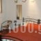 Michel Studios_best prices_in_Hotel_Peloponesse_Achaia_Kalavryta