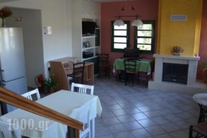 Rena's House_holidays_in_Hotel_Peloponesse_Achaia_Kalogria