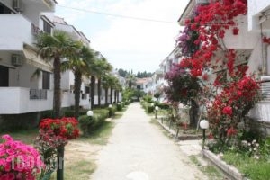 Villa Repas_accommodation_in_Villa_Macedonia_Halkidiki_Pefkochori