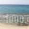 Laskarina Rooms_best deals_Room_Aegean Islands_Thasos_Thasos Chora