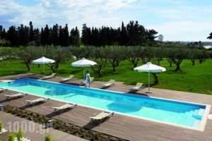 Alexander Beach Hotel & Spa_best prices_in_Hotel_Thraki_Evros_Alexandroupoli