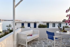 Apartments Tarsa_lowest prices_in_Apartment_Cyclades Islands_Antiparos_Antiparos Chora