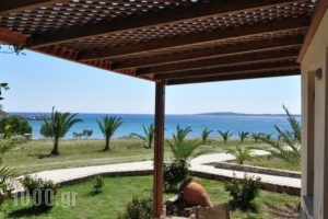 Olga Beach Villas_holidays_in_Villa_Crete_Lasithi_Palaekastro