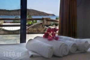 Alexandros-Vassilia_best deals_Hotel_Cyclades Islands_Serifos_Livadi