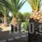 Louiza Apartments_best deals_Apartment_Aegean Islands_Chios_Volissos