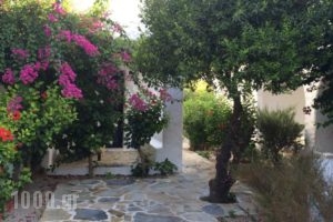 Utopia Hotel Apartments_holidays_in_Apartment_Ionian Islands_Lefkada_Drimonas