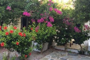 Utopia Hotel Apartments_lowest prices_in_Apartment_Ionian Islands_Lefkada_Drimonas