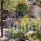 Villa Petra_best deals_Villa_Crete_Chania_Vryses Apokoronas