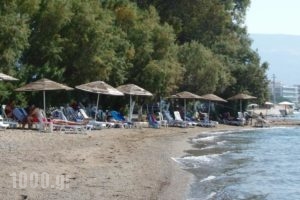 Stefania Hotel_accommodation_in_Hotel_Central Greece_Evia_Amaranthos