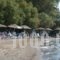 Stefania Hotel_accommodation_in_Hotel_Central Greece_Evia_Amaranthos