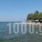 Stefania Hotel_best deals_Hotel_Central Greece_Evia_Amaranthos