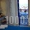 Regina Studios & Hotel_best deals_Hotel_Dodekanessos Islands_Karpathos_Karpathos Chora