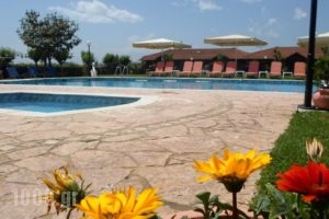 Denis Hotel and Bungalows_best deals_Hotel_Macedonia_Pieria_Korinos