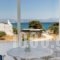 Apartments Tarsa_best deals_Apartment_Cyclades Islands_Antiparos_Antiparos Chora