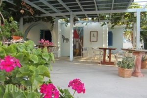 Emporio Hotel - Ancient Elefsina_holidays_in_Hotel_Cyclades Islands_Sandorini_Emborio