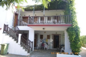 Pansion Platana_holidays_in_Room_Sporades Islands_Skopelos_Glossa