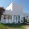 Ilios & Irini_best deals_Apartment_Dodekanessos Islands_Kos_Mastichari