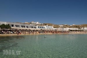 Acrogiali Hotel_travel_packages_in_Cyclades Islands_Mykonos_Platys Gialos